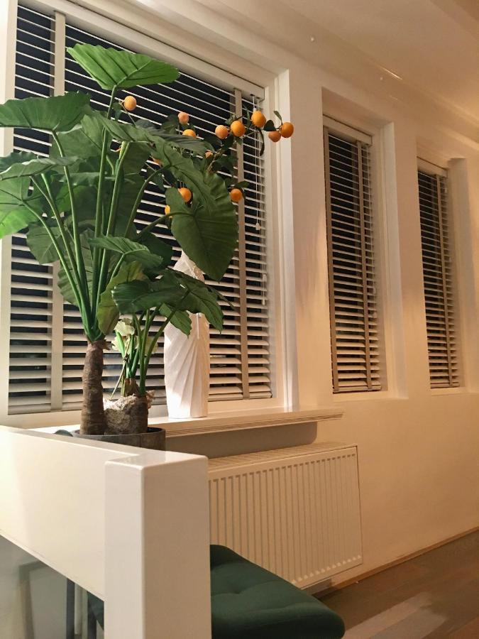 Vakantiehuis De Zeeparel Zandvoort Kültér fotó